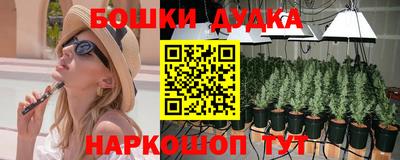 дживик Аргун